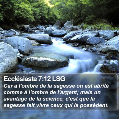 Ecclésiaste 7:12 LSG Bible Verse Image