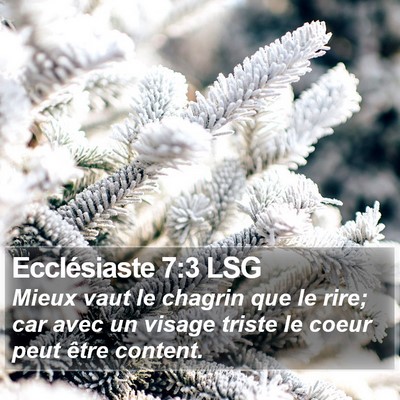 Ecclésiaste 7:3 LSG Bible Verse Image