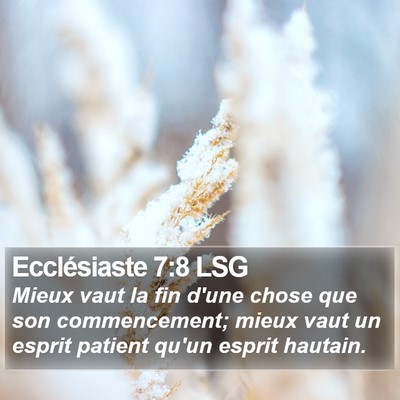 Ecclésiaste 7:8 LSG Bible Verse Image