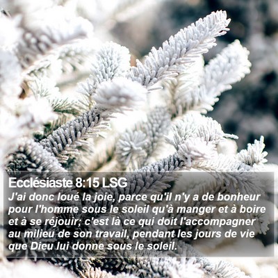 Ecclésiaste 8:15 LSG Bible Verse Image