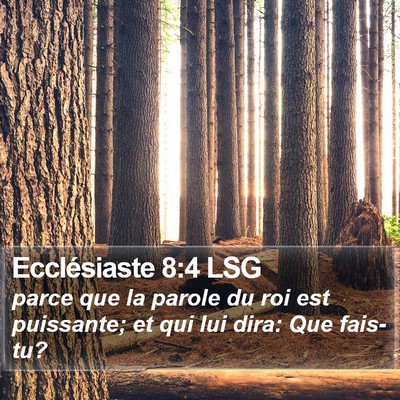 Ecclésiaste 8:4 LSG Bible Verse Image