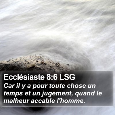 Ecclésiaste 8:6 LSG Bible Verse Image