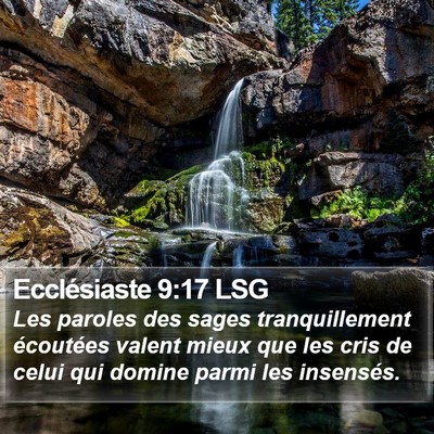 Ecclésiaste 9:17 LSG Bible Verse Image