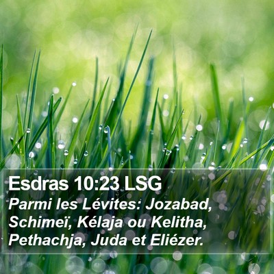 Esdras 10:23 LSG Bible Verse Image