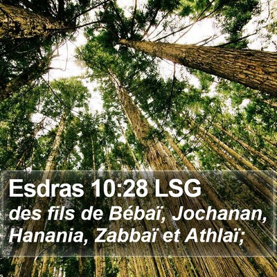 Esdras 10:28 LSG Bible Verse Image
