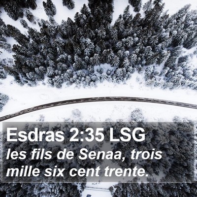 Esdras 2:35 LSG Bible Verse Image