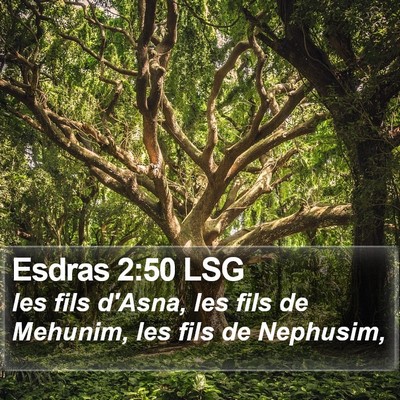 Esdras 2:50 LSG Bible Verse Image