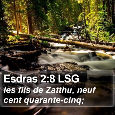 Esdras 2:8 LSG Bible Verse Image
