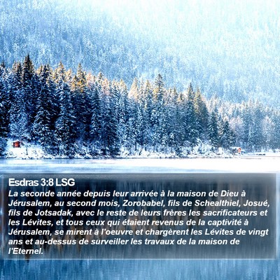 Esdras 3:8 LSG Bible Verse Image