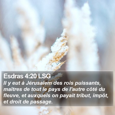 Esdras 4:20 LSG Bible Verse Image
