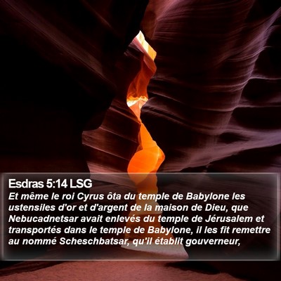Esdras 5:14 LSG Bible Verse Image