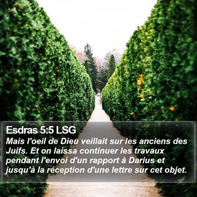 Esdras 5:5 LSG Bible Verse Image