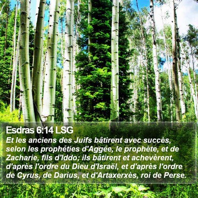 Esdras 6:14 LSG Bible Verse Image