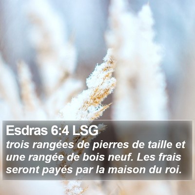 Esdras 6:4 LSG Bible Verse Image