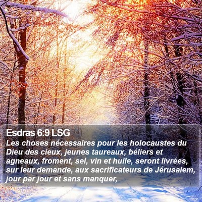 Esdras 6:9 LSG Bible Verse Image
