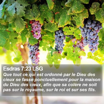 Esdras 7:23 LSG Bible Verse Image