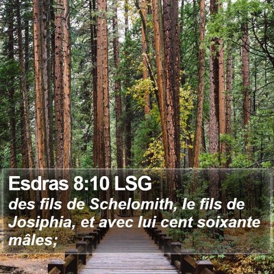 Esdras 8:10 LSG Bible Verse Image