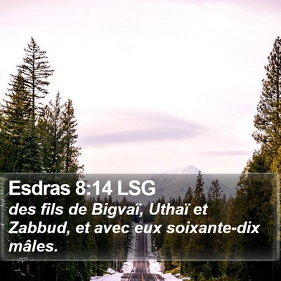 Esdras 8:14 LSG Bible Verse Image