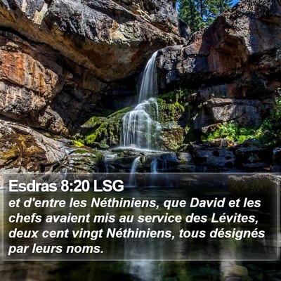 Esdras 8:20 LSG Bible Verse Image