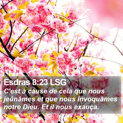 Esdras 8:23 LSG Bible Verse Image
