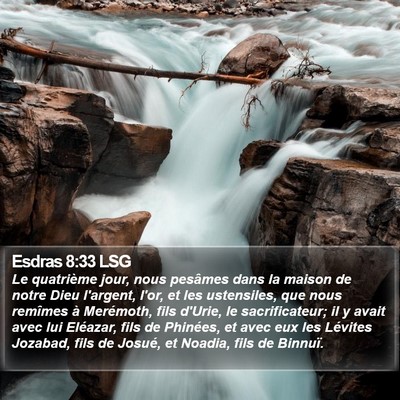 Esdras 8:33 LSG Bible Verse Image
