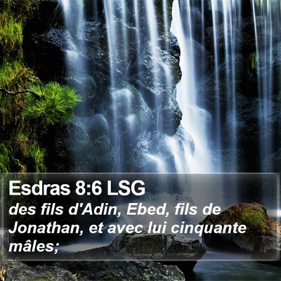 Esdras 8:6 LSG Bible Verse Image