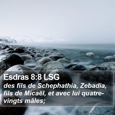 Esdras 8:8 LSG Bible Verse Image