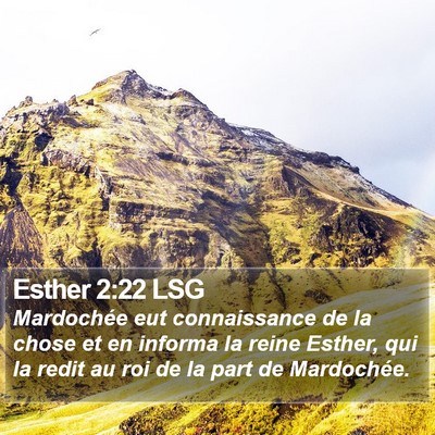 Esther 2:22 LSG Bible Verse Image