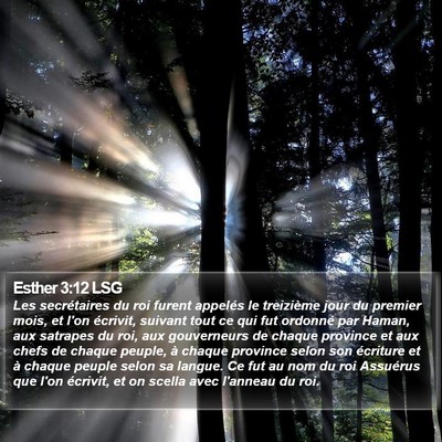 Esther 3:12 LSG Bible Verse Image