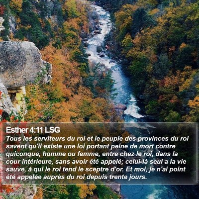 Esther 4:11 LSG Bible Verse Image