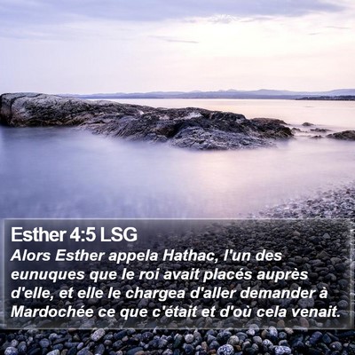 Esther 4:5 LSG Bible Verse Image