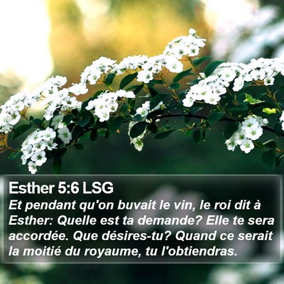 Esther 5:6 LSG Bible Verse Image