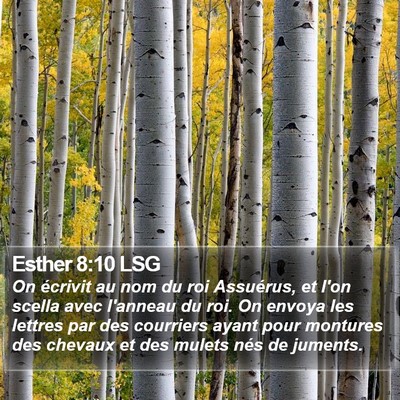 Esther 8:10 LSG Bible Verse Image