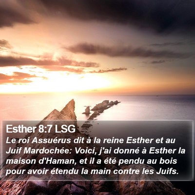 Esther 8:7 LSG Bible Verse Image
