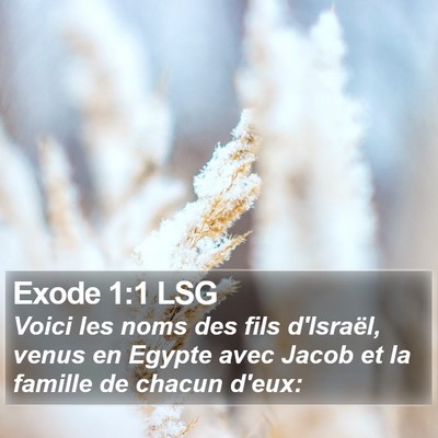 Exode 1:1 LSG Bible Verse Image