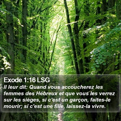 Exode 1:16 LSG Bible Verse Image
