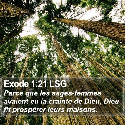 Exode 1:21 LSG Bible Verse Image