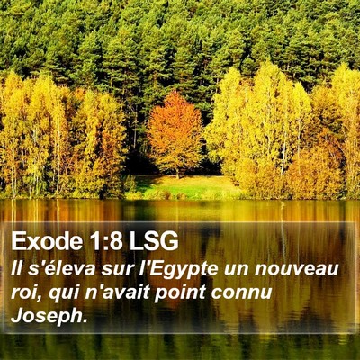 Exode 1:8 LSG Bible Verse Image