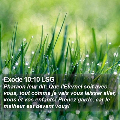 Exode 10:10 LSG Bible Verse Image