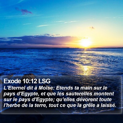 Exode 10:12 LSG Bible Verse Image