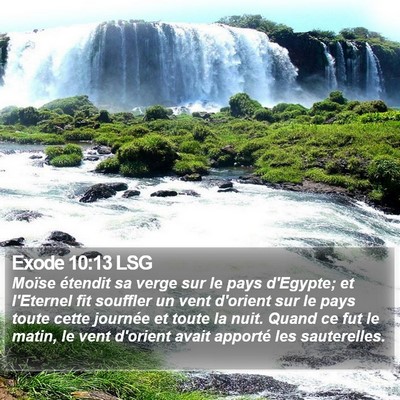 Exode 10:13 LSG Bible Verse Image