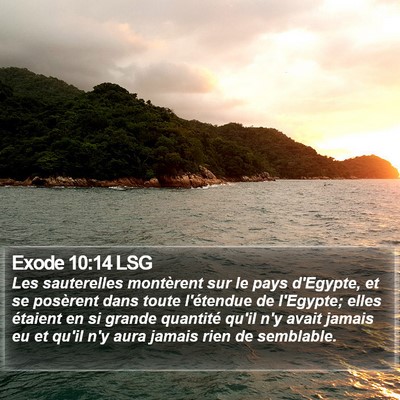 Exode 10:14 LSG Bible Verse Image