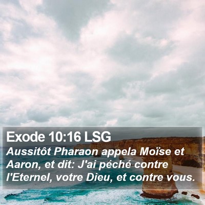 Exode 10:16 LSG Bible Verse Image