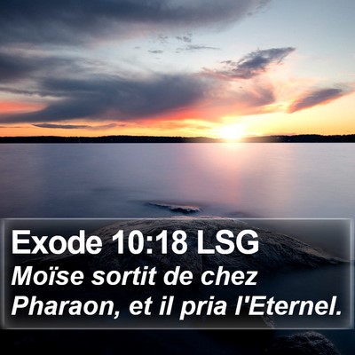 Exode 10:18 LSG Bible Verse Image
