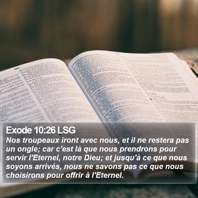 Exode 10:26 LSG Bible Verse Image