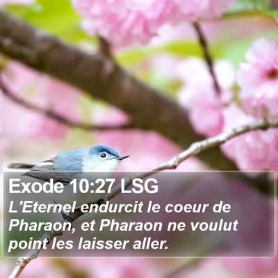 Exode 10:27 LSG Bible Verse Image