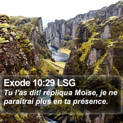 Exode 10:29 LSG Bible Verse Image