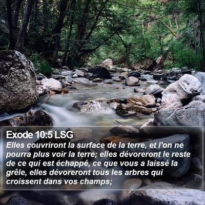 Exode 10:5 LSG Bible Verse Image