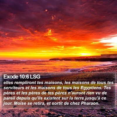 Exode 10:6 LSG Bible Verse Image