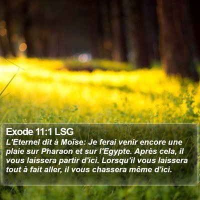 Exode 11:1 LSG Bible Verse Image